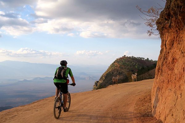 bicycletours